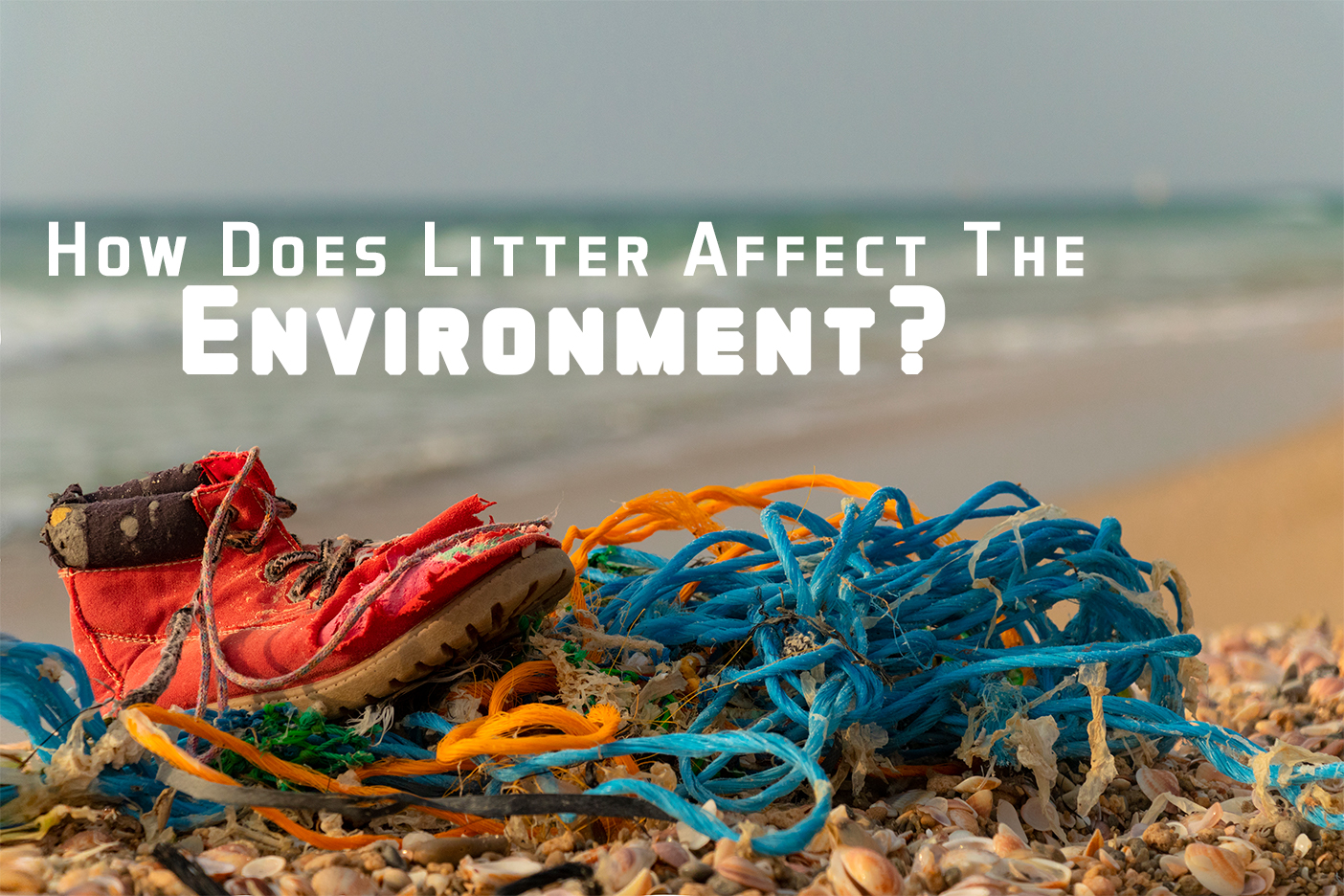 How Does Littering Affect the Environment